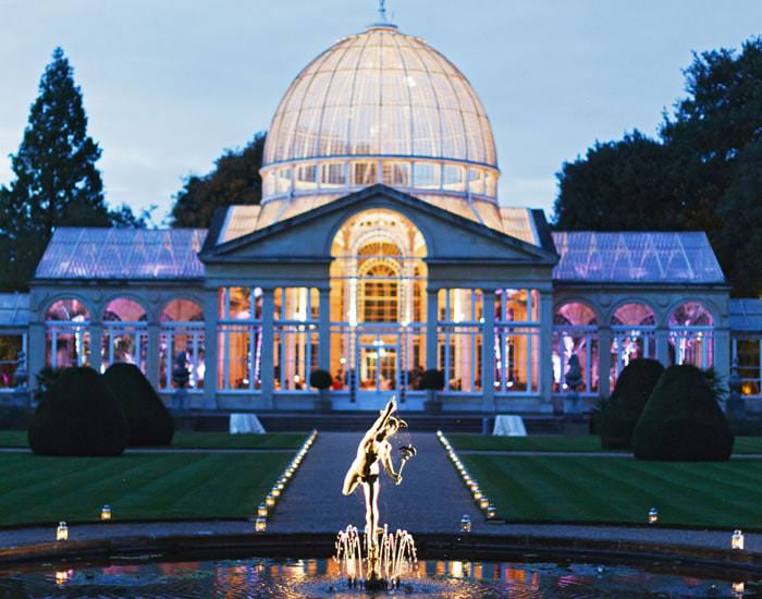 Wedding Photograph Great Conservatory Syon Park Syons Open Day Douglass Wedding Photography