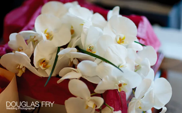 Hayley & Oliver's Wedding Photographed at The Mandarin Oriental Hotel in London 3 Orchids ready for wedding at Mandarin Oriental