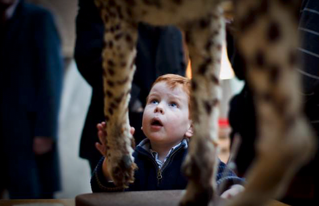 children photographed at natural history museum oxford