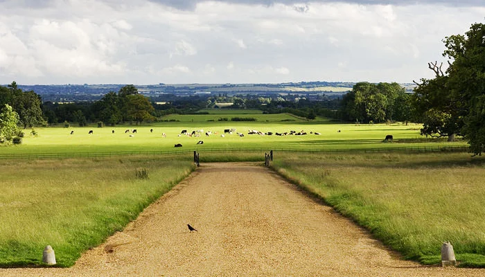 cambridgeshire countryside Wedding Photographed at Wimpole Hall, Royston in Cambridgeshire for Monica and Geoff 3