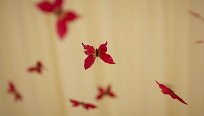 Jemma and Daniel's Wedding Photographed at Highmoor Hall, Henley-On-Thames 4