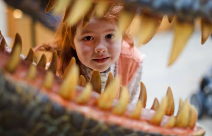 Children Photographed at The Natural History Museum Oxford 1