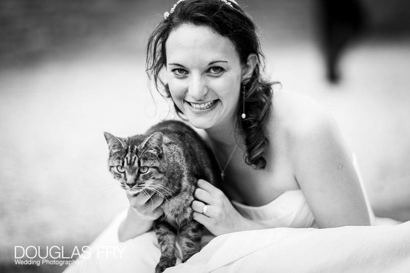 Bride photographed with cat at wedding reception in Dorset