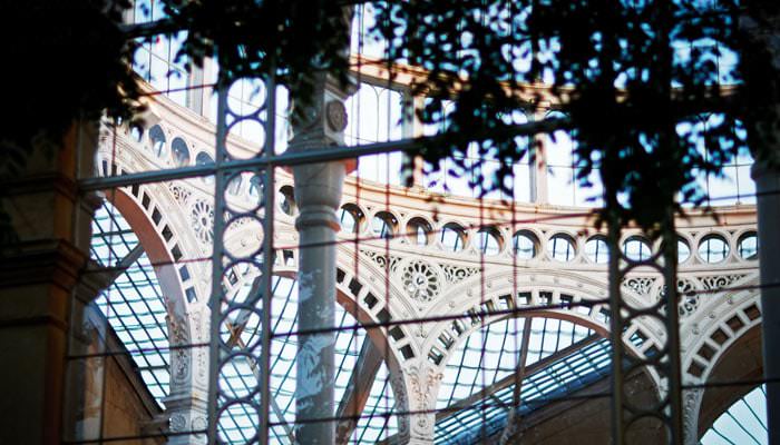 Wedding Photographer -Great Conservatory, Syon Park