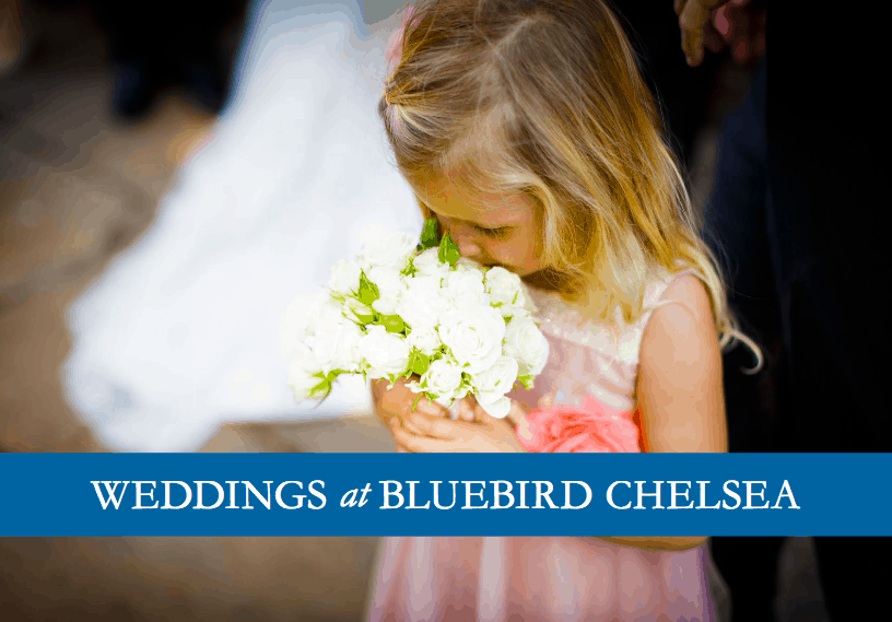 Bridesmaid photograph by Douglas Fry on front of Bluebird brochure