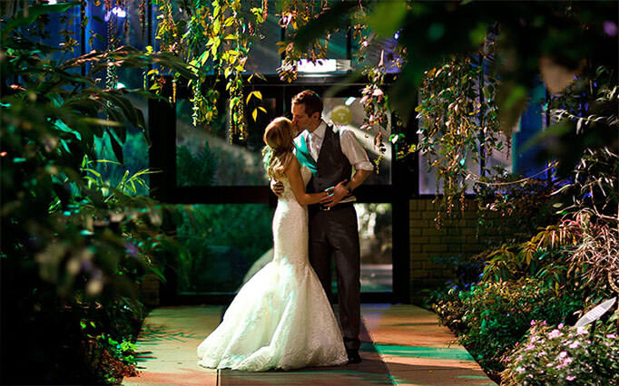 Wedding Photography Winter